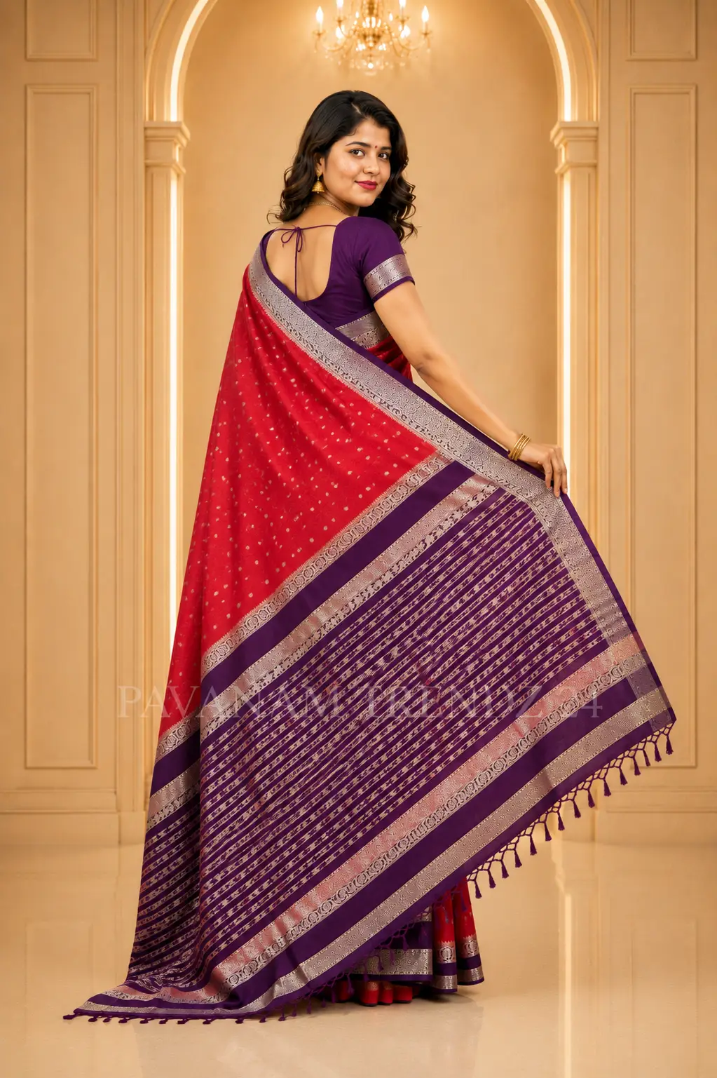 Chiffon Saree- N2-01 - Image 3