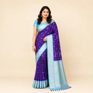 Chiffon Saree- N2-04