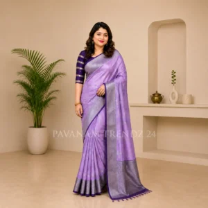 Georget Saree- N4-01